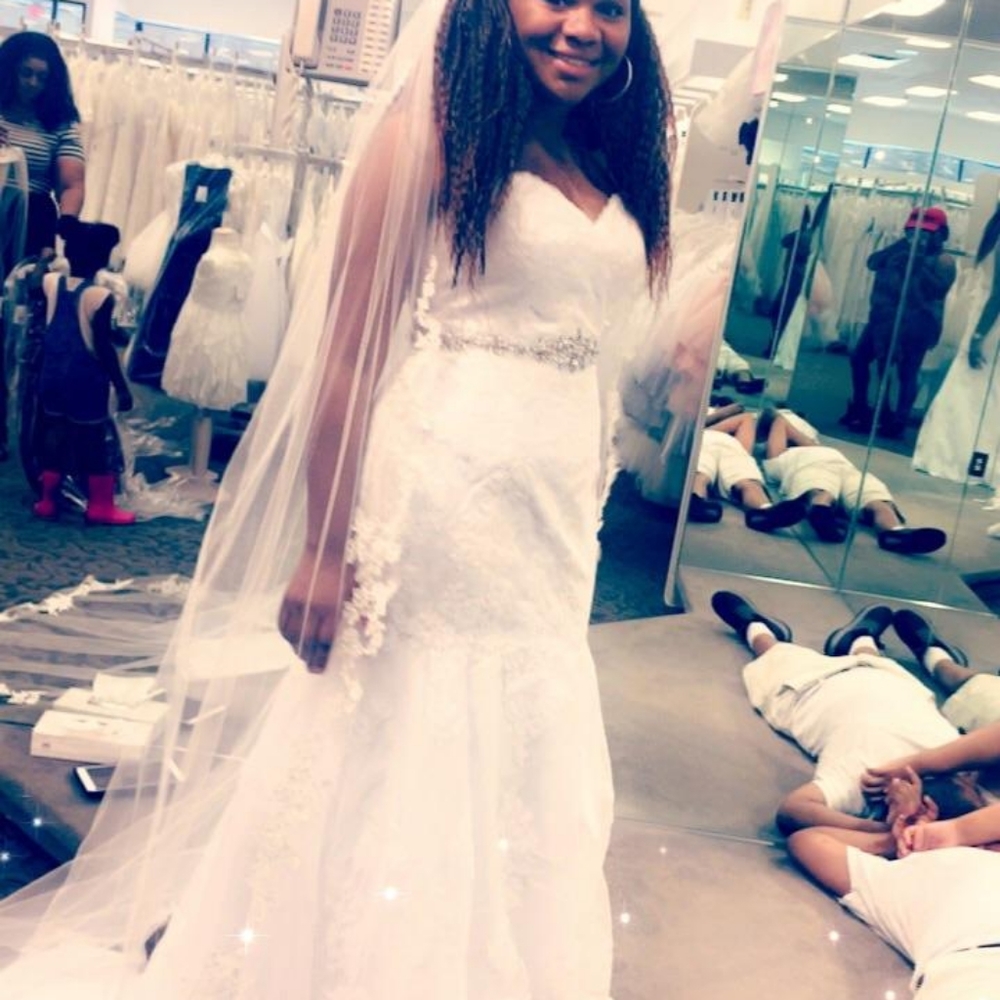 Beautiful Wedding Dress and Veil